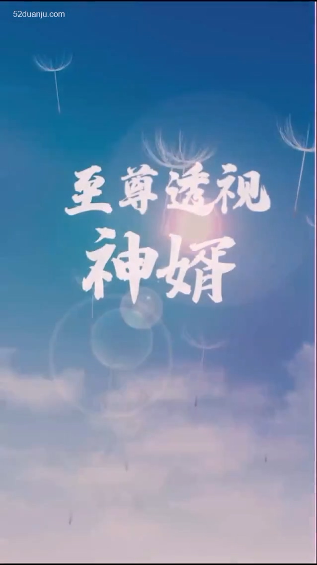 至尊透视神婿合集版 第01集(大结局)