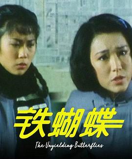 铁蝴蝶 第21集