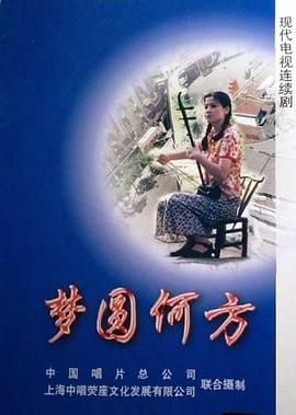 梦圆何方 第22集(大结局)