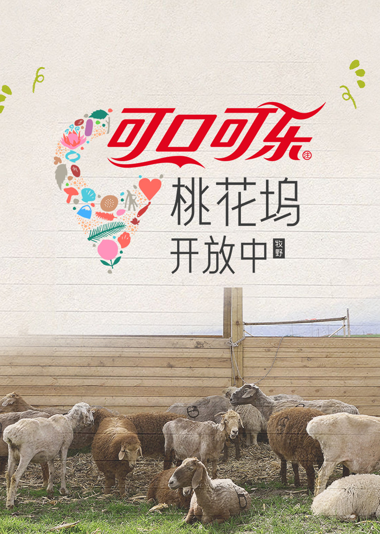 桃花坞开放中第4季 20250909上