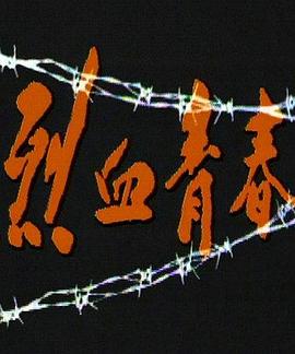 烈血青春1991 第17集