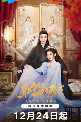 机智的公主殿下 第11集