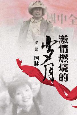 激情燃烧的岁月3 第01集