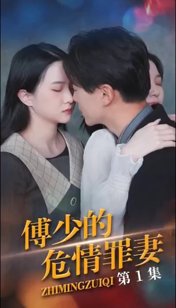 傅少的隐婚罪妻 1-20集