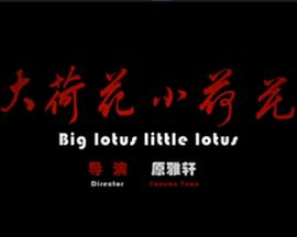 大荷花小荷花(全集)